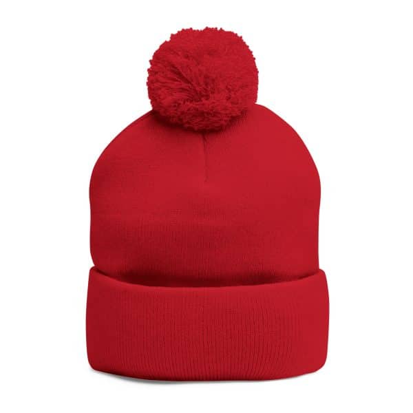 Celestial Fairy Cozy Pom-Pom Knit Cap with Embroidered Design - Image 24